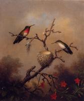 Heade, Martin Johnson